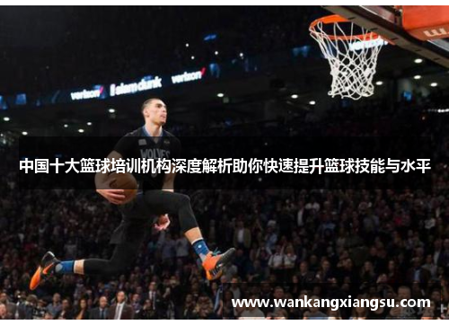 中国十大篮球培训机构深度解析助你快速提升篮球技能与水平
