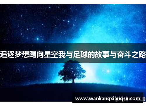 追逐梦想踢向星空我与足球的故事与奋斗之路