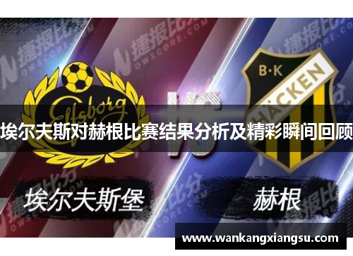 埃尔夫斯对赫根比赛结果分析及精彩瞬间回顾